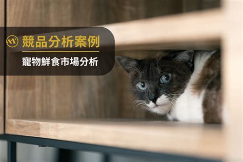 台灣飼養寵物比例